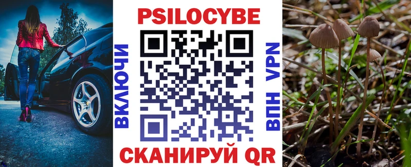 нарко площадка клад  магазин  наркотиков  Туапсе  Галлюциногенные грибы Psilocybe  кракен сайт 