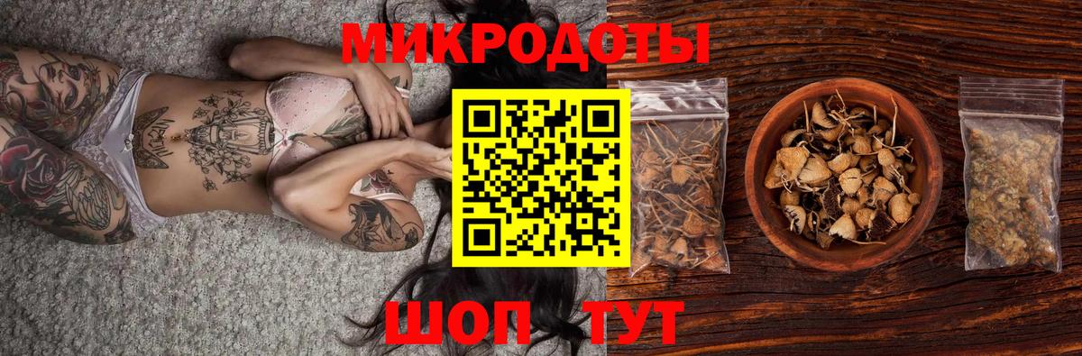 Туапсе  Галлюциногенные грибы прущие грибы  Псилоцибиновые грибы Cubensis  Вход с VPN 